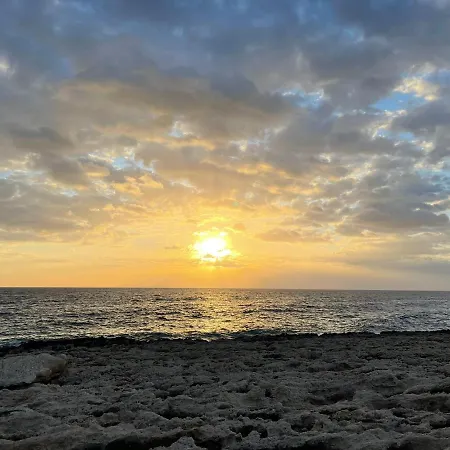 Mosaic By The Sea