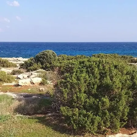 Gazde/Camere de închiriat Mosaic By The Sea *