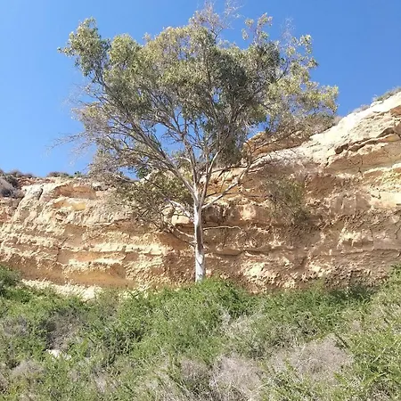 Mosaic By The Sea Gazde/Camere de închiriat Protaras